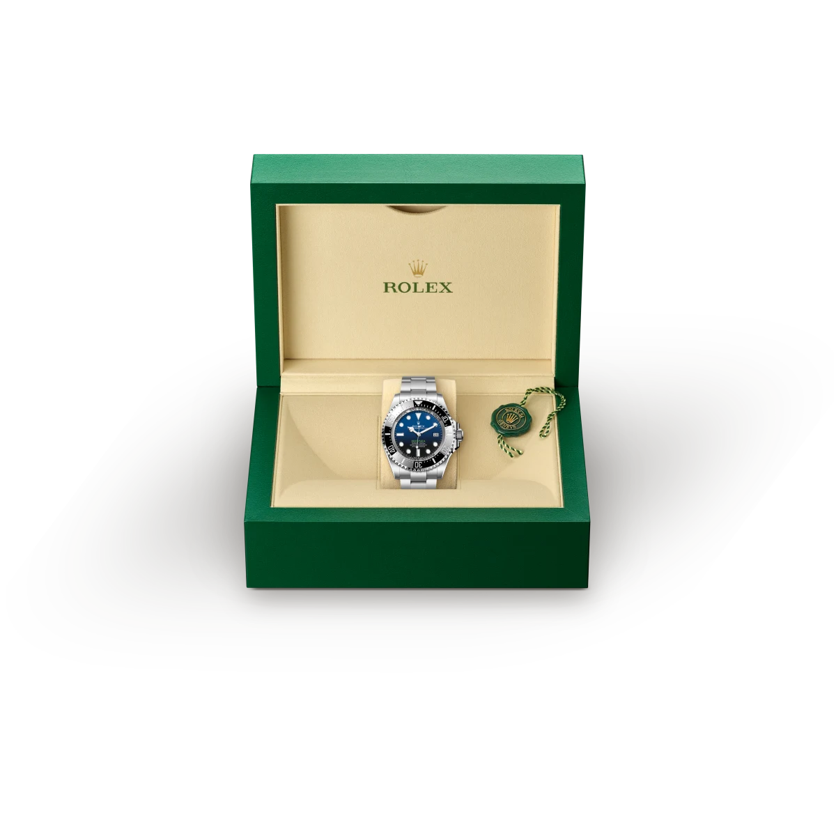 Rolex Deepsea in Oystersteel, M136660-0005 - Swiss Time Square