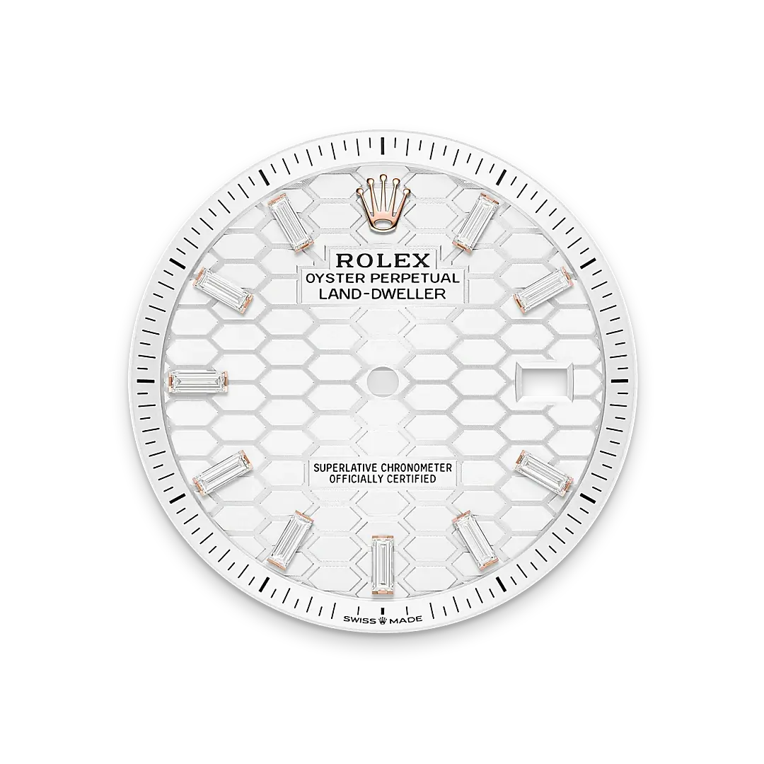 Rolex Land-Dweller in 18 ct Everose gold, M127385TBR-0003 - Swiss Time Square