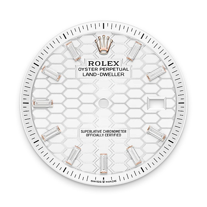 Rolex Land-Dweller in 18 ct Everose gold, M127385TBR-0003 - Swiss Time Square