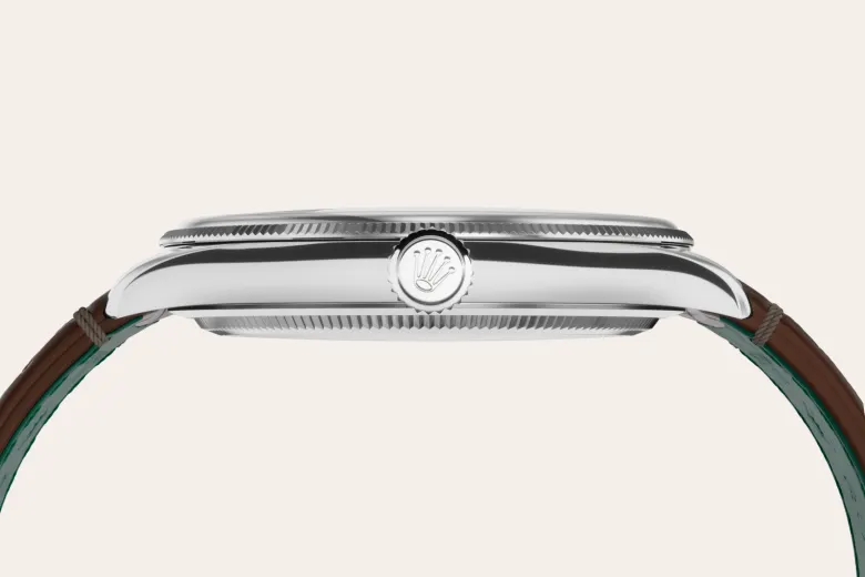 Rolex 1908 in 18 ct white gold, M52509-0006 - Swiss Time Square