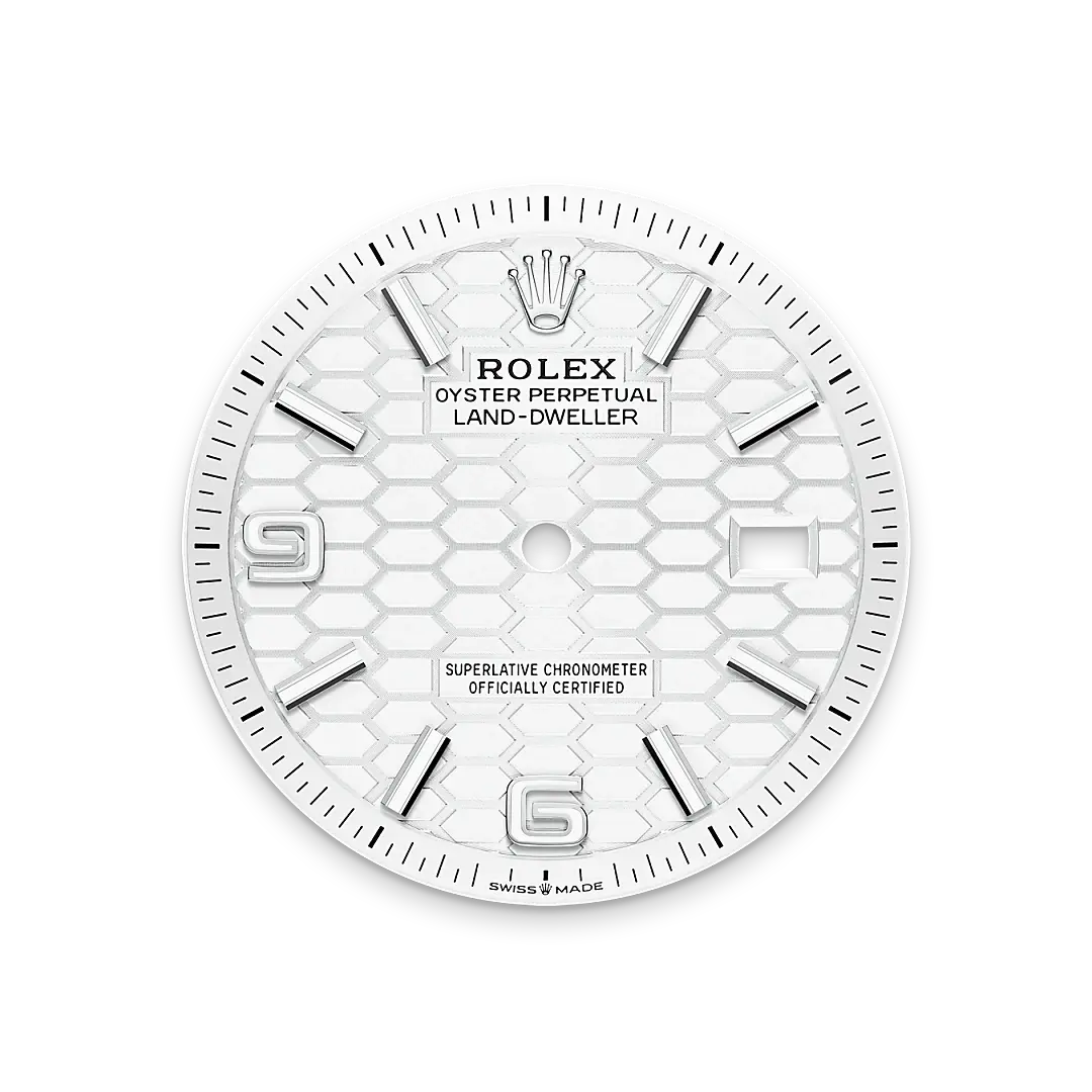 Rolex Land-Dweller in White Rolesor - combination of Oystersteel and white gold, M127234-0001 - Swiss Time Square