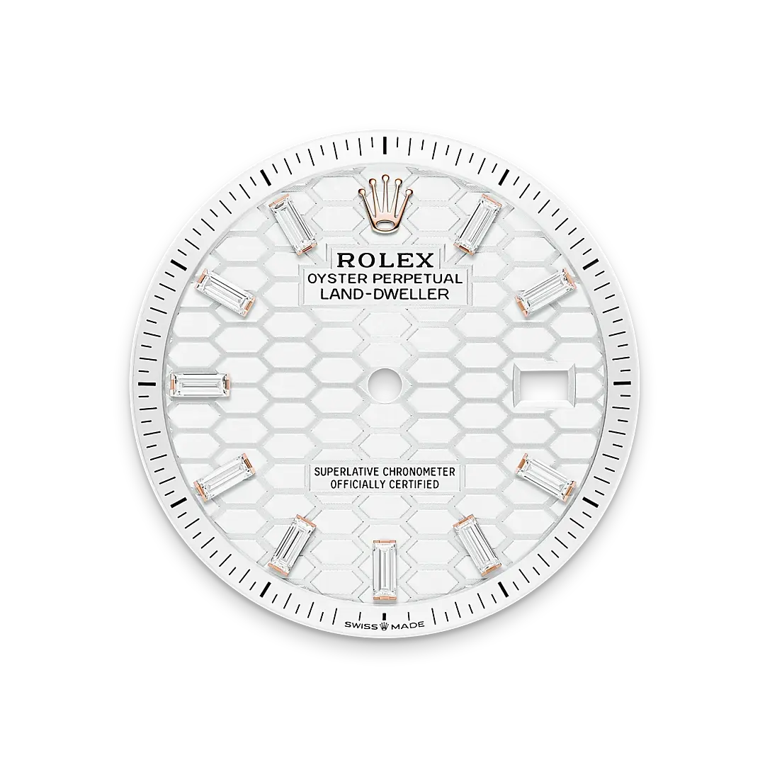 Rolex Land-Dweller in 18 ct Everose gold, M127285TBR-0002 - Swiss Time Square