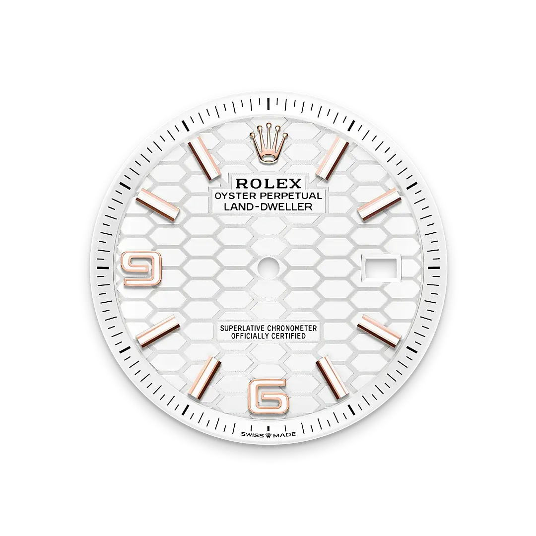 Rolex Land-Dweller in 18 ct Everose gold, M127335-0001 - Swiss Time Square