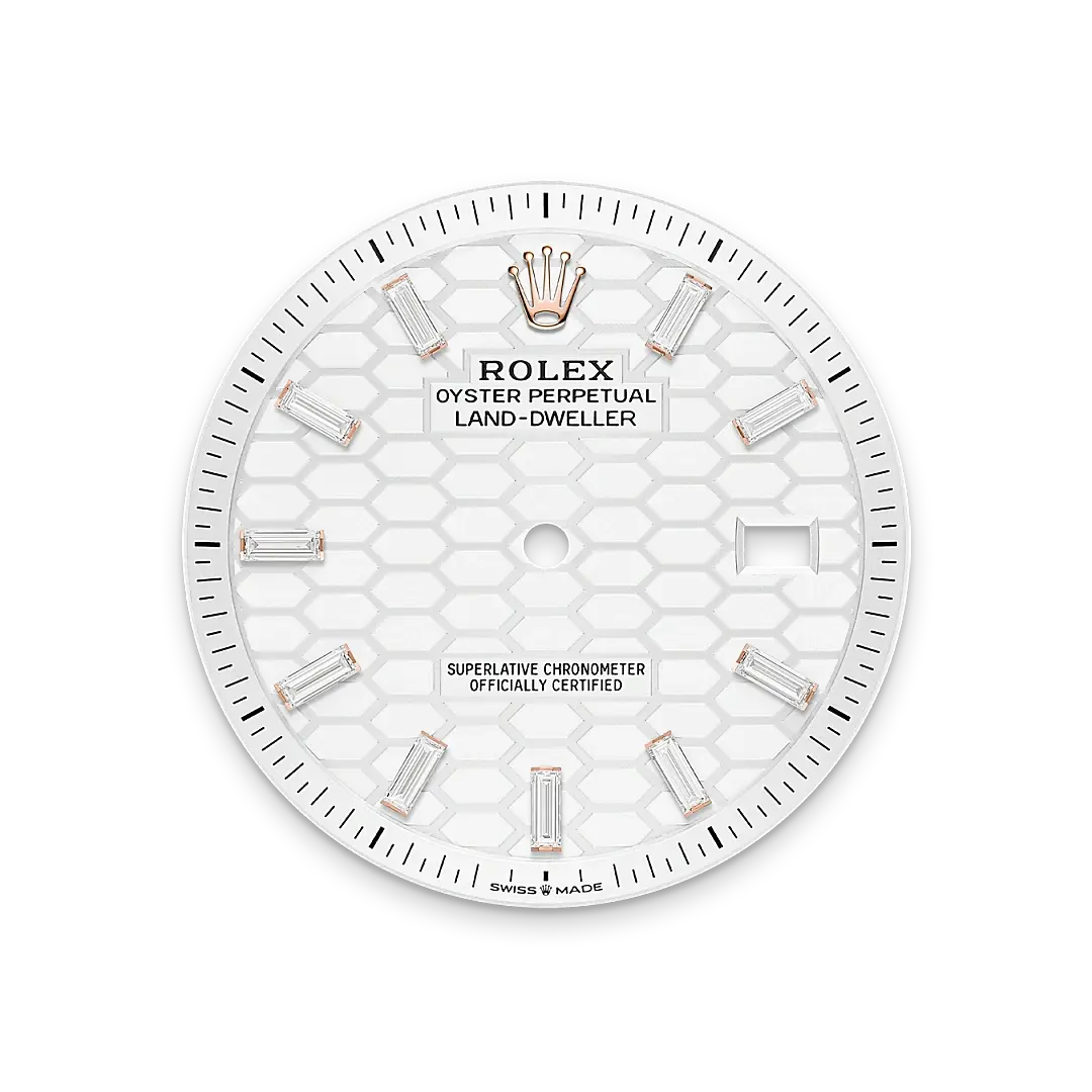 Rolex Land-Dweller in 18 ct Everose gold, M127385TBR-0003 - Swiss Time Square