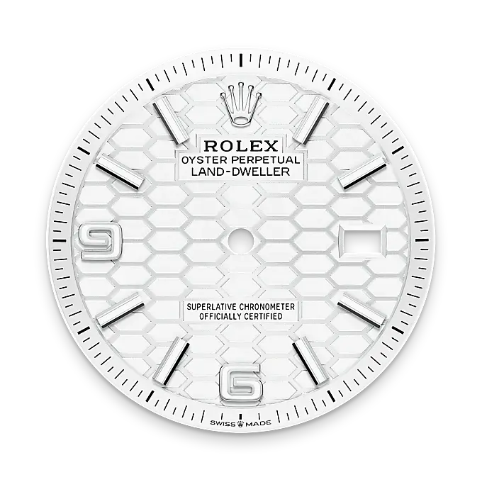 Rolex Land-Dweller in White Rolesor - combination of Oystersteel and white gold, M127234-0001 - Swiss Time Square