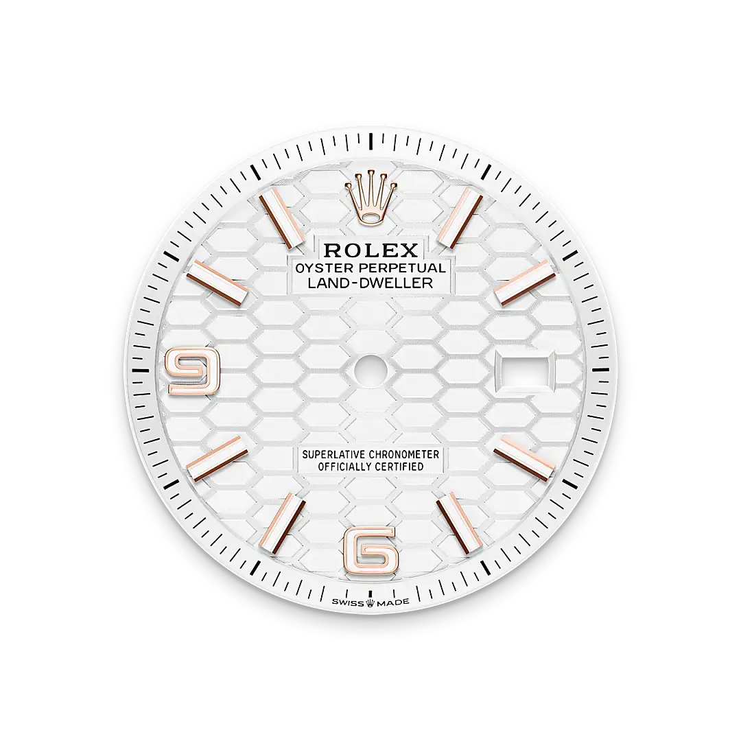 Rolex Land-Dweller in 18 ct Everose gold, M127235-0001 - Swiss Time Square