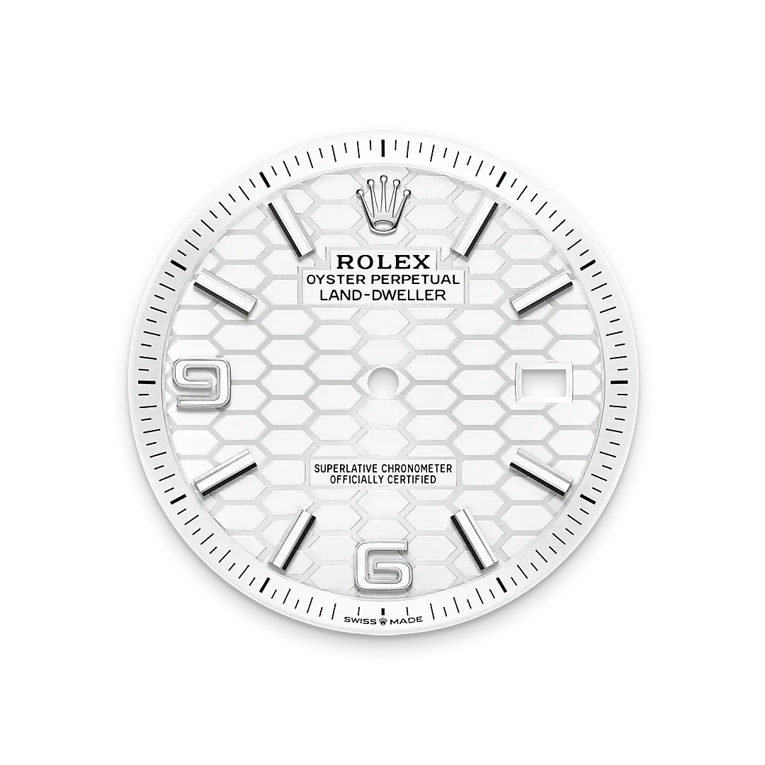 Rolex Land-Dweller in White Rolesor - combination of Oystersteel and white gold, M127334-0001 - Swiss Time Square