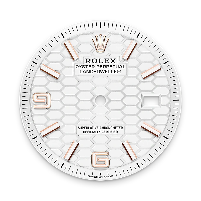 Rolex Land-Dweller in 18 ct Everose gold, M127235-0001 - Swiss Time Square