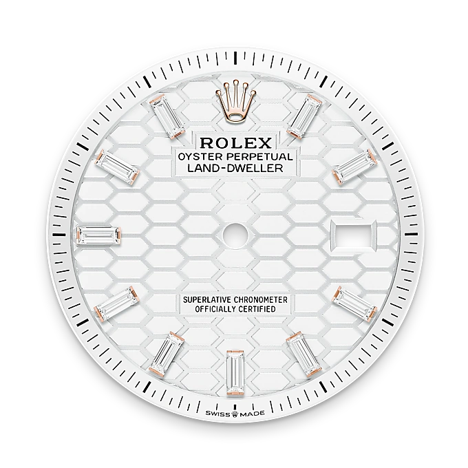 Rolex Land-Dweller in 18 ct Everose gold, M127285TBR-0002 - Swiss Time Square