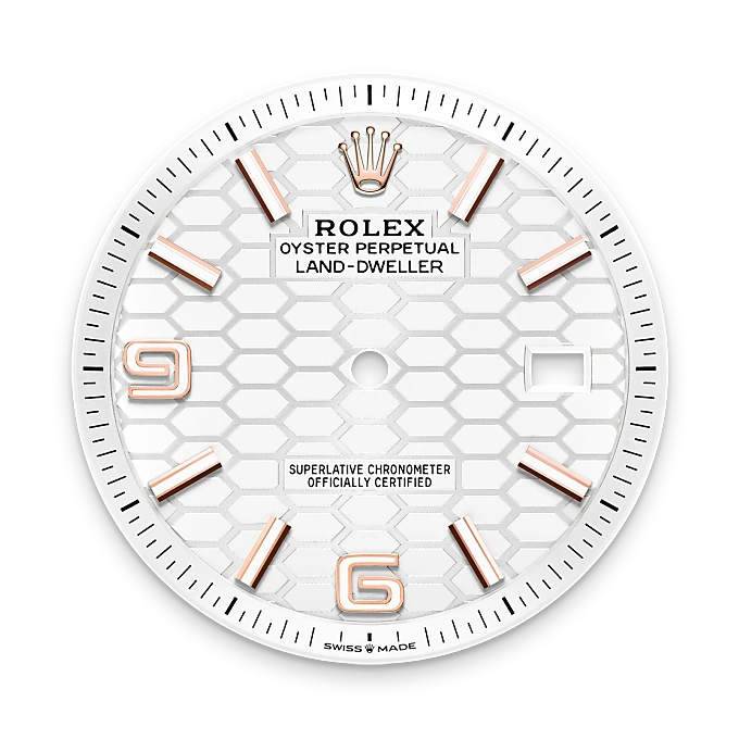 Rolex Land-Dweller in 18 ct Everose gold, M127335-0001 - Swiss Time Square