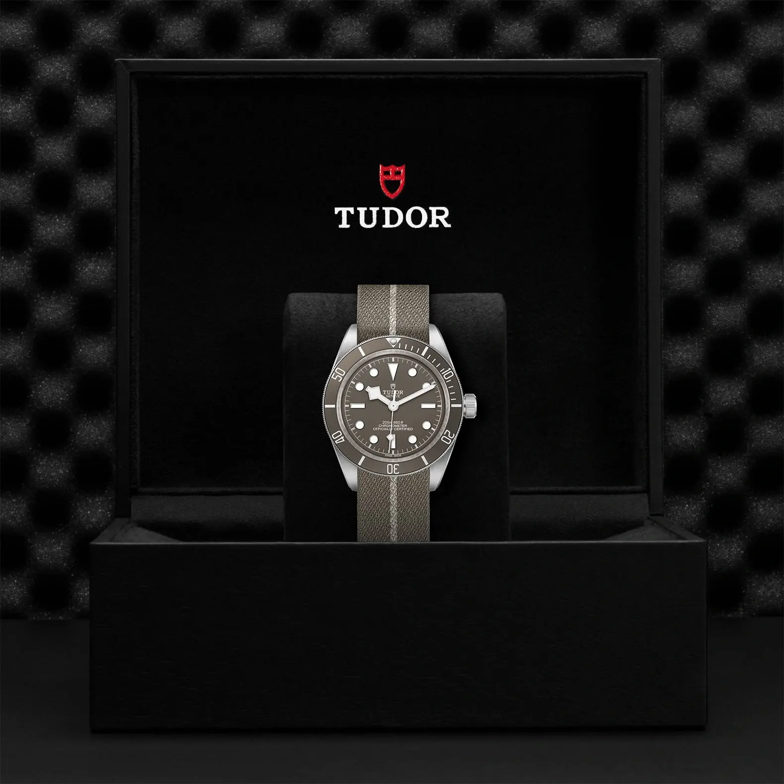 Tudor