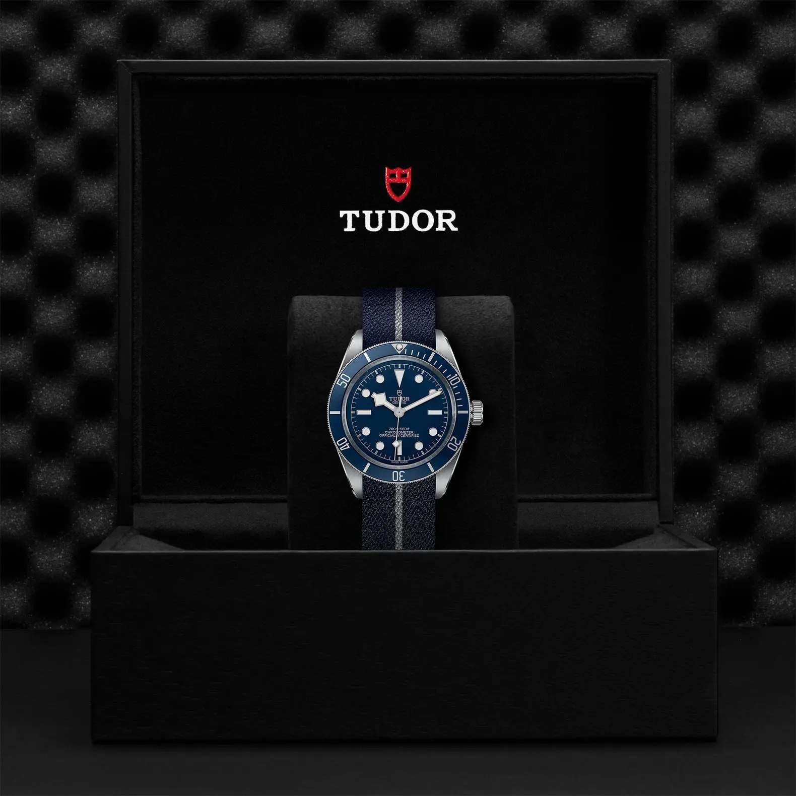 Tudor