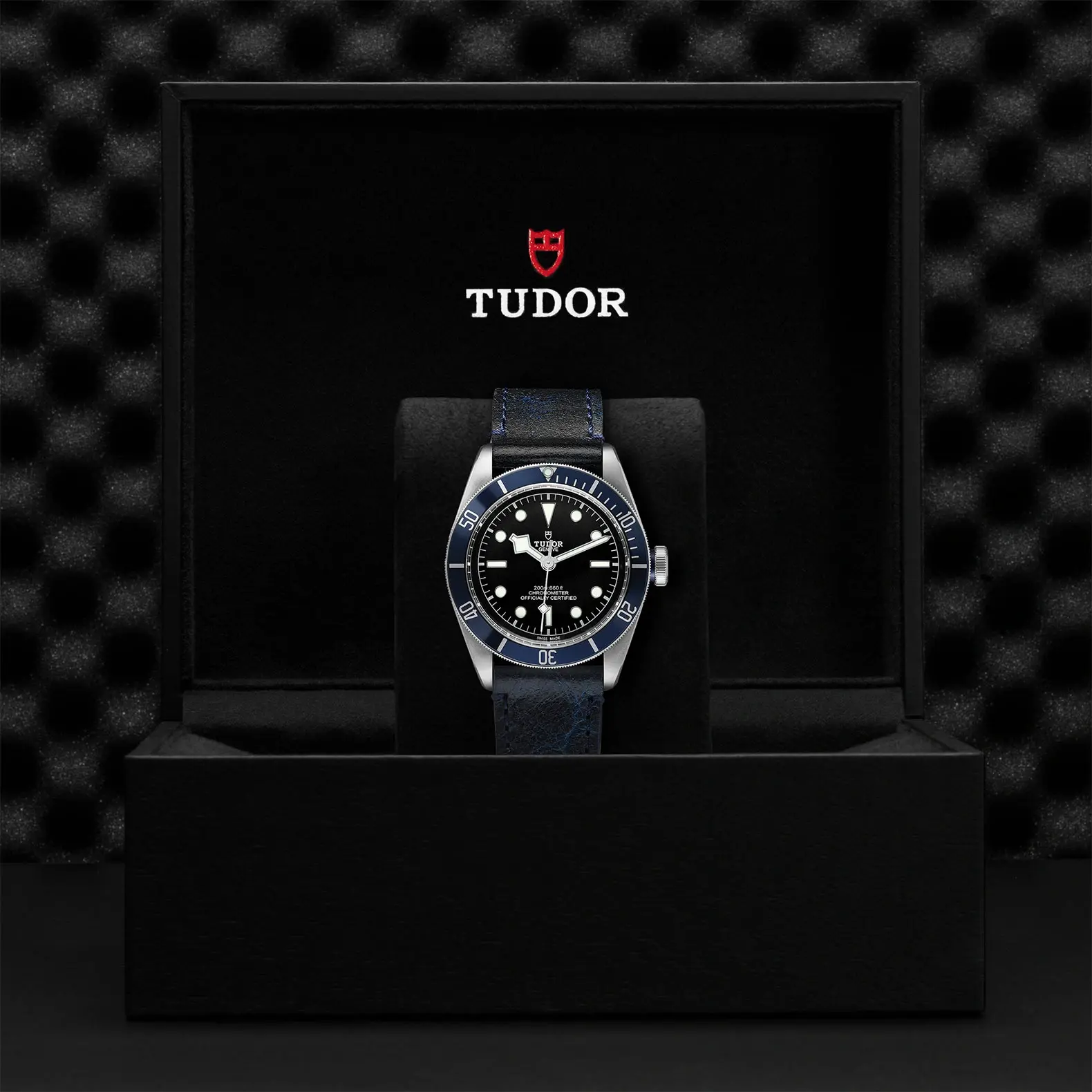 Tudor