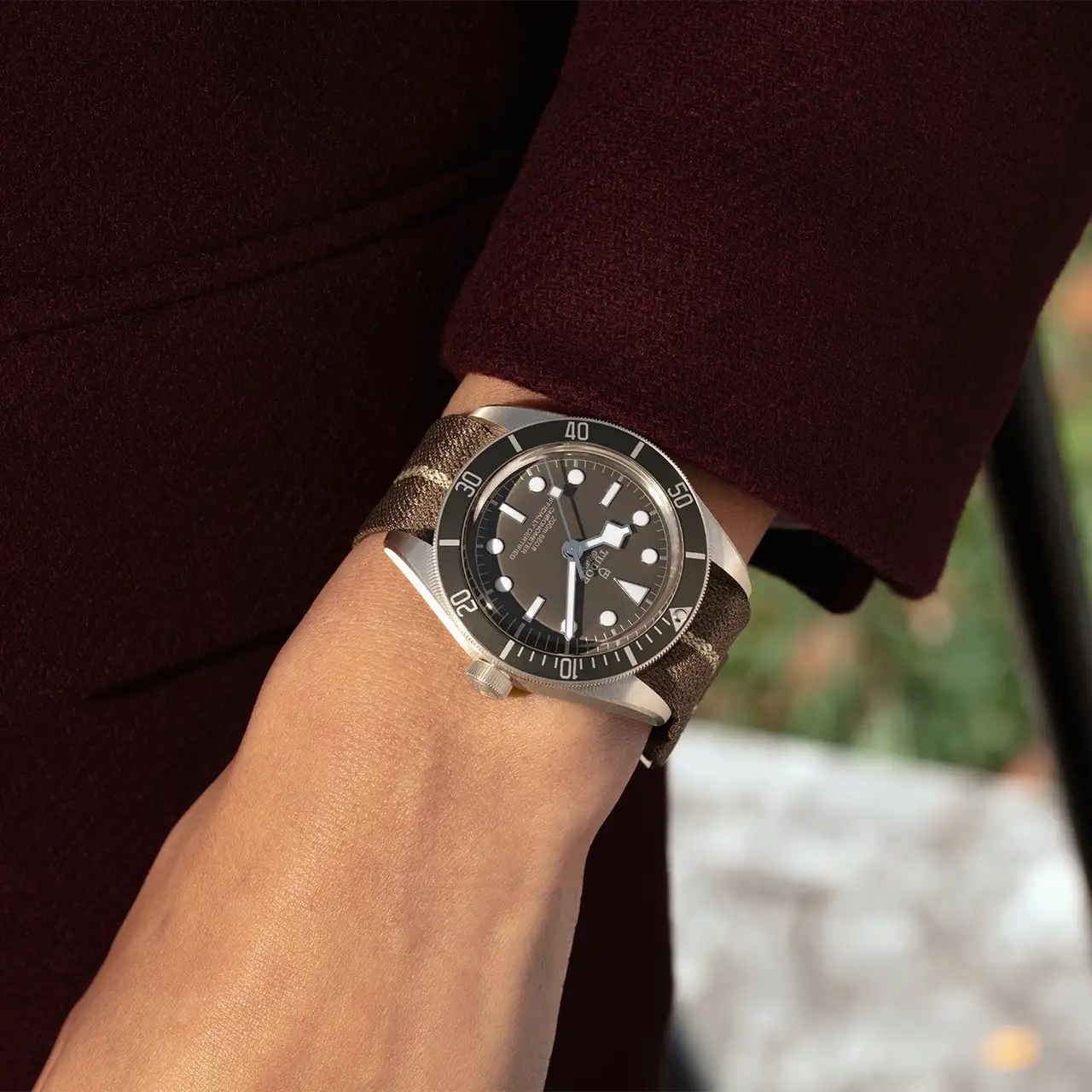 Tudor Watch