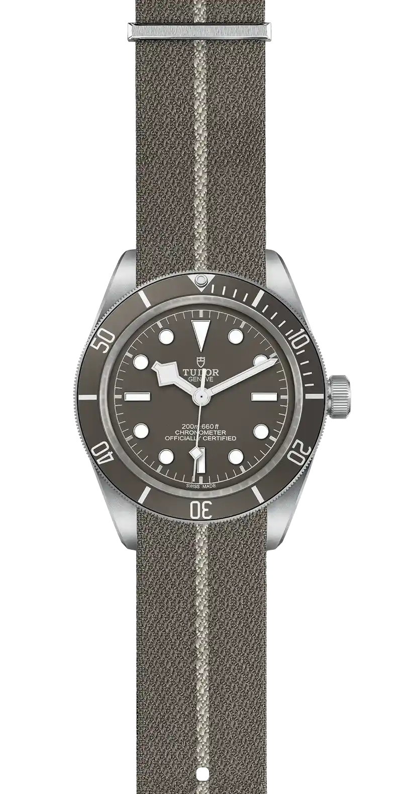 Tudor Watch