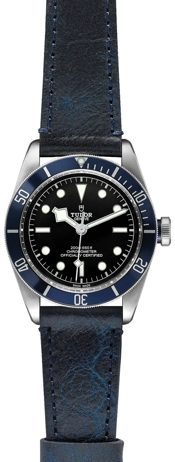 Tudor Watch