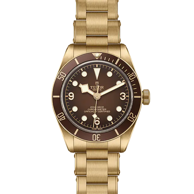 Tudor BLACK BAY 58 M79012M-0001 | Swiss Time Square