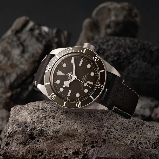 Tudor BLACK BAY 58 925 M79010SG-0001 | Swiss Time Square
