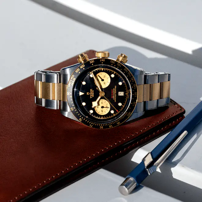 Tudor BLACK BAY CHRONO S&G M79363N-0001 | Swiss Time Square