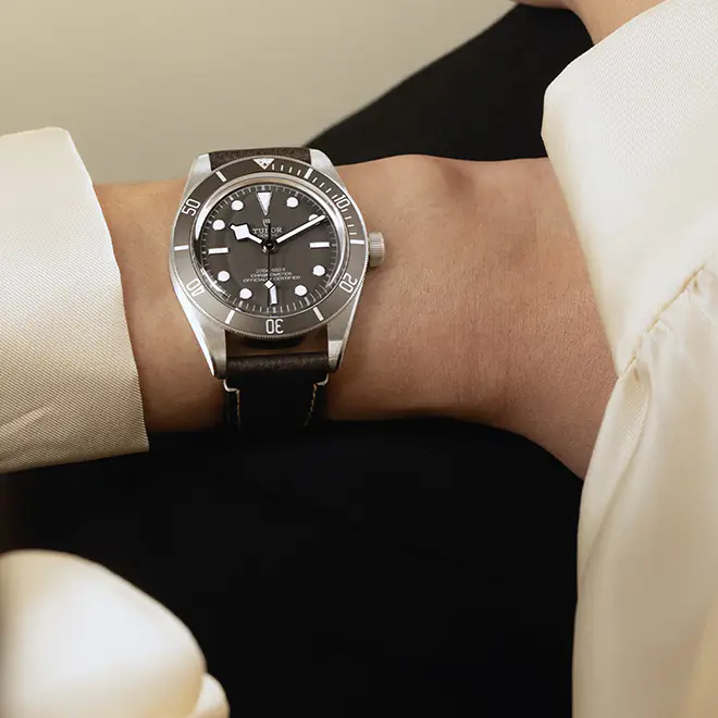 Tudor BLACK BAY 58 925 M79010SG-0001 | Swiss Time Square